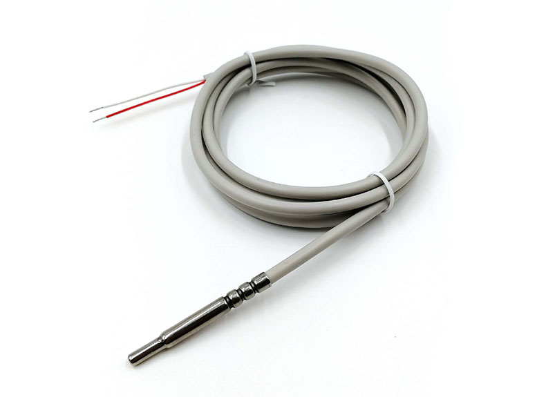 Sensor de temperatura à prova de água PT1000 RTD (2-Wire)