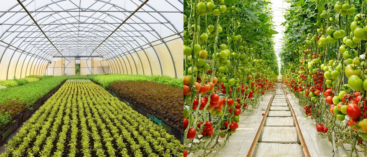 Agricultura