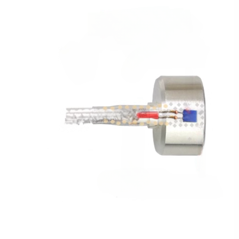 PT1000 magnético RTD Sensor de temperatura para controlo industrial